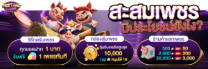 meetang ฝากถอนทรูวอลเล็ต ไม่มีขั้นต่ำ 